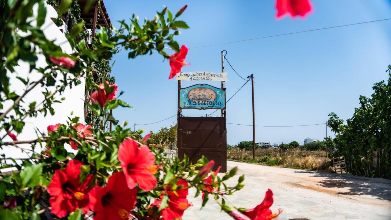 Maestralia Lägenhet Skyros Exteriör bild